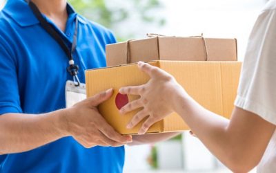 Online Global Delivery Business in Indonesia